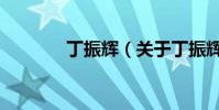 丁振輝(關于丁振輝的介紹)