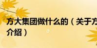 方大集團做什么的(關于方大集團做什么的的介紹)