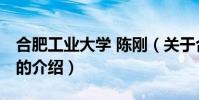 合肥工業大學 陳剛(關于合肥工業大學 陳剛的介紹)