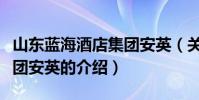 山東藍海酒店集團安英(關于山東藍海酒店集團安英的介紹)