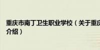 重慶市南丁衛生職業學校(關于重慶市南丁衛生職業學校的介紹)