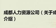 成都人力資源公司(關于成都人力資源公司的介紹)