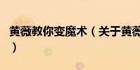 黃薇教你變魔術(關于黃薇教你變魔術的介紹)