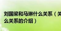 劉國梁和馬琳什么關系(關于劉國梁和馬琳什么關系的介紹)