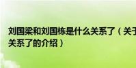 劉國梁和劉國棟是什么關系了(關于劉國梁和劉國棟是什么關系了的介紹)
