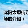 沈陽太原街萬達廣場（關于沈陽太原街萬達廣場的介紹）
