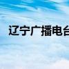 遼寧廣播電臺（關于遼寧廣播電臺的介紹）