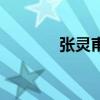 張靈甫（關于張靈甫的介紹）