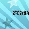 夢的雅朵（關于夢的雅朵的介紹）