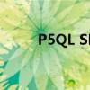 P5QL SE（關于P5QL SE的介紹）
