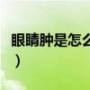 眼睛腫是怎么回事怎么治（眼睛腫是怎么回事）