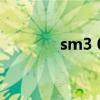 sm3 0（關于sm3 0的介紹）