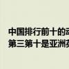 中國排行前十的動漫（超火的日本動漫排行榜前十名龍珠排第三第十是亞洲英雄）