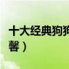 十大經典狗狗電影（忠犬八公上榜第四相當溫馨）