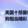 美國十部最好看的黑道電影（教父上榜,落水狗相當精彩）