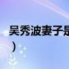 吳秀波妻子是誰（關于吳秀波妻子是誰的介紹）