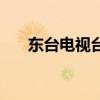 東臺電視臺（關于東臺電視臺的介紹）