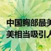 中國胸部最美的十大女明星（這些明星胸部很美相當吸引人）