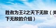 勝者為王2之天下無敵(關于勝者為王2之天下無敵的介紹)