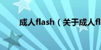 成人flash(關于成人flash的介紹)