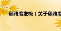 藤雅魔發梳(關于藤雅魔發梳的介紹)