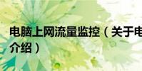 電腦上網流量監控(關于電腦上網流量監控的介紹)