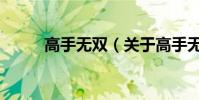 高手無雙(關于高手無雙的介紹)