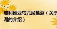 玻利維亞烏尤尼鹽湖(關于玻利維亞烏尤尼鹽湖的介紹)