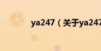 ya247(關于ya247的介紹)