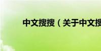 中文搜搜(關于中文搜搜的介紹)