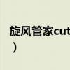 旋風管家cuties（關于旋風管家cuties的介紹）