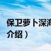保衛蘿卜深海主題（關于保衛蘿卜深海主題的介紹）