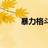暴力格斗（關于暴力格斗的介紹）
