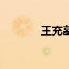 王充墓（關于王充墓的介紹）