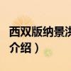 西雙版納景洪機場（關于西雙版納景洪機場的介紹）