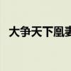 大爭天下凰妻（關于大爭天下凰妻的介紹）