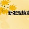 新發現植發（關于新發現植發的介紹）