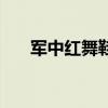 軍中紅舞鞋（關于軍中紅舞鞋的介紹）