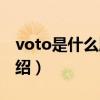 voto是什么牌子（關于voto是什么牌子的介紹）