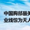 中國胸部最美的十大明星（柳巖林志玲上榜事業線驚為天人）