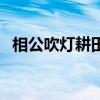 相公吹燈耕田（關于相公吹燈耕田的介紹）