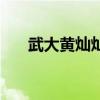 武大黃燦燦（關于武大黃燦燦的介紹）