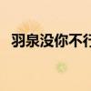 羽泉沒你不行（關于羽泉沒你不行的介紹）