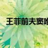 王菲前夫竇唯（關于王菲前夫竇唯的介紹）