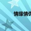 情緣情仇（關于情緣情仇的介紹）