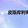 皮斯庫利奇（關于皮斯庫利奇的介紹）
