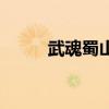 武魂蜀山（關于武魂蜀山的介紹）