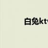 白兔ktv（關于白兔ktv的介紹）