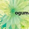 oguma（關于oguma的介紹）