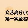 文藝高分小眾電影前十名（追風箏的人上榜,第一實至名歸）